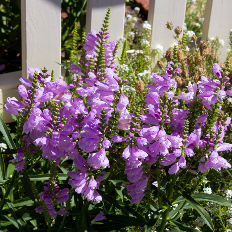 947c118478f1593cd03e73b87dab22d0