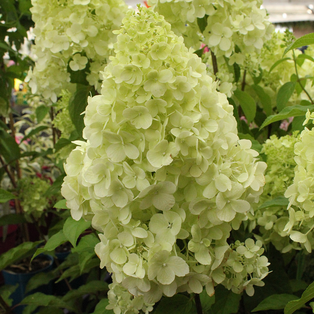 aa48bd915e34e26c36b1f13d72400870