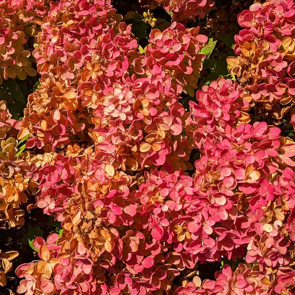 2b7b80d4869d54915df9d63c27faae87