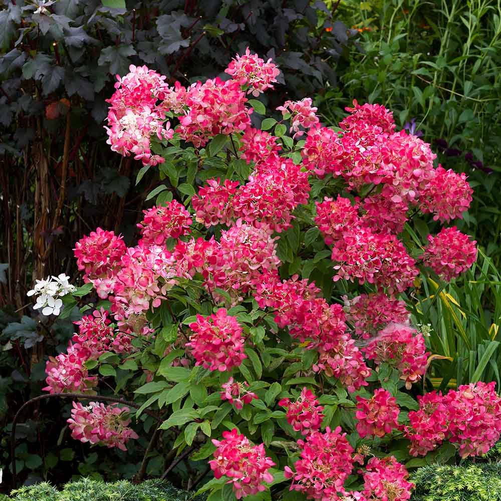 3f4f2c72a2eebeb8759f5e322809fe68