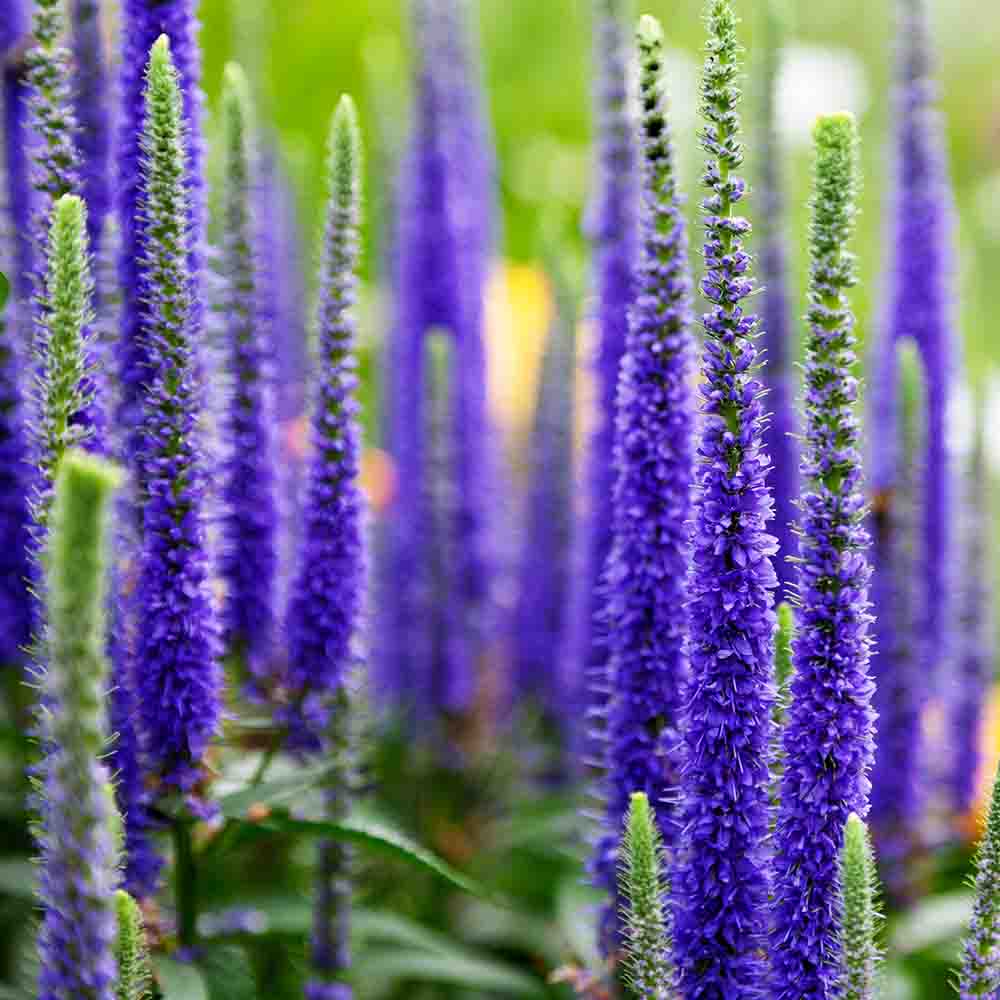 46f4e7d91fb5dee391c4ed566cbc1671