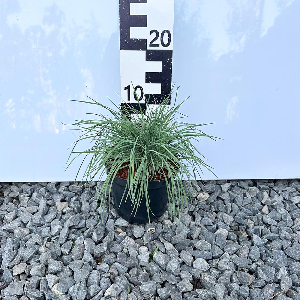 32dd40fe94cb1fb0ea3579891fa8d418