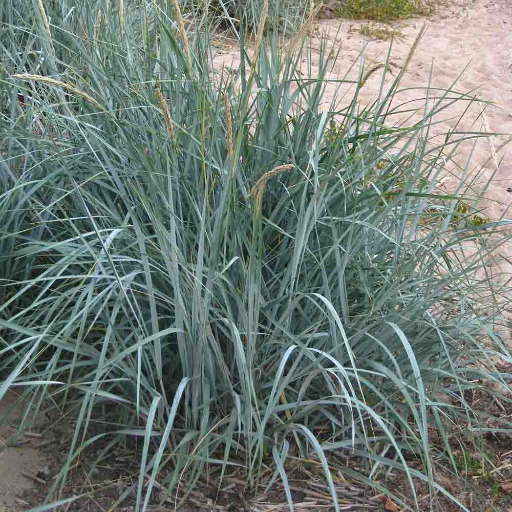 07a7fe7acddba37fcb9de0d42f835907