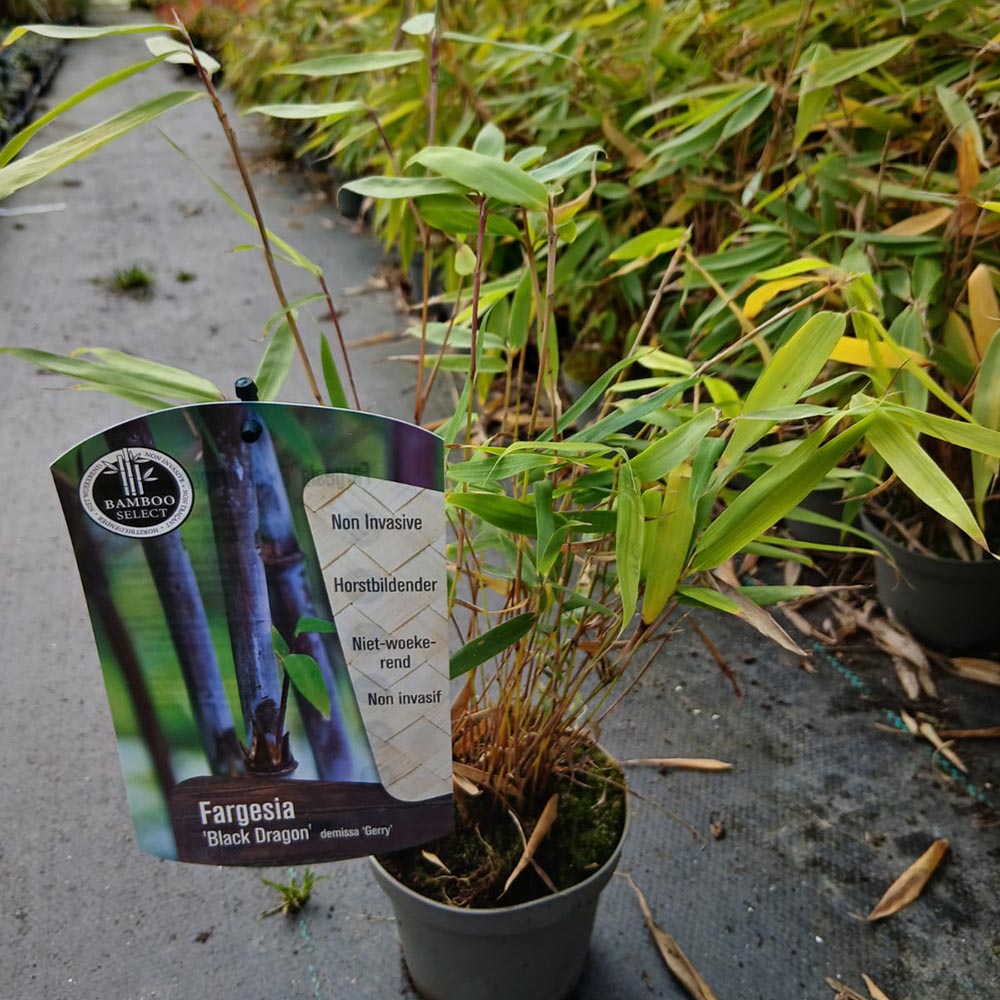 072e9430fe13d5da8bfb031d87614b8e