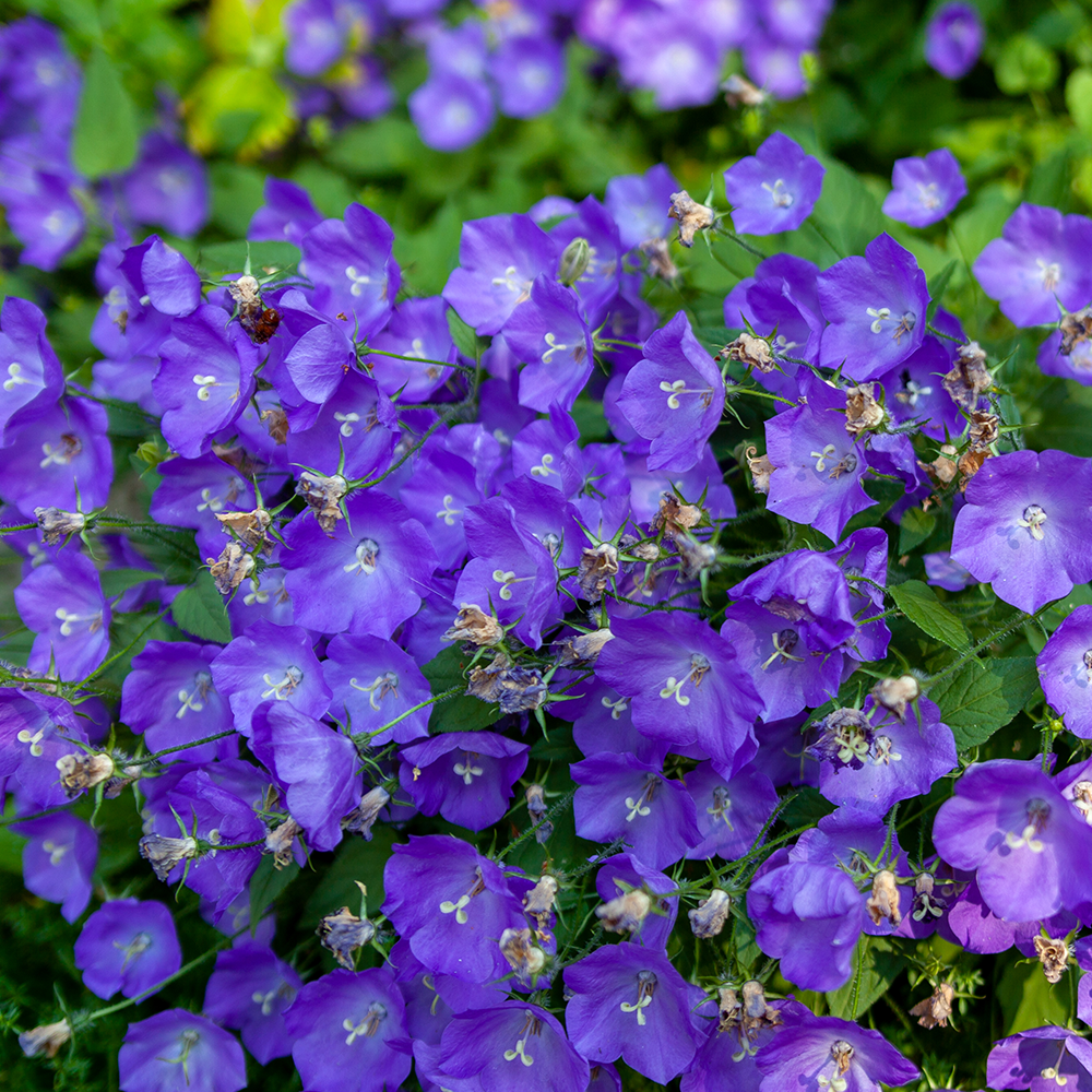 8414672e1f905805d6e6d1c81ec02fb4