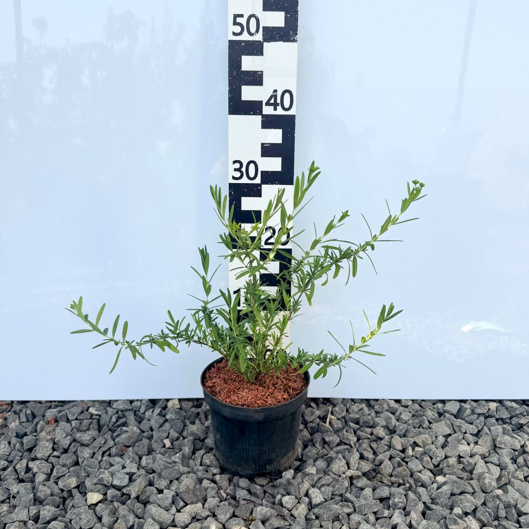 5b3f35e1e9a375c48011c767d698e88f