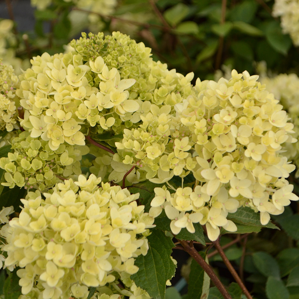 e7beb5eaa1495a53c8545de19918d6dc