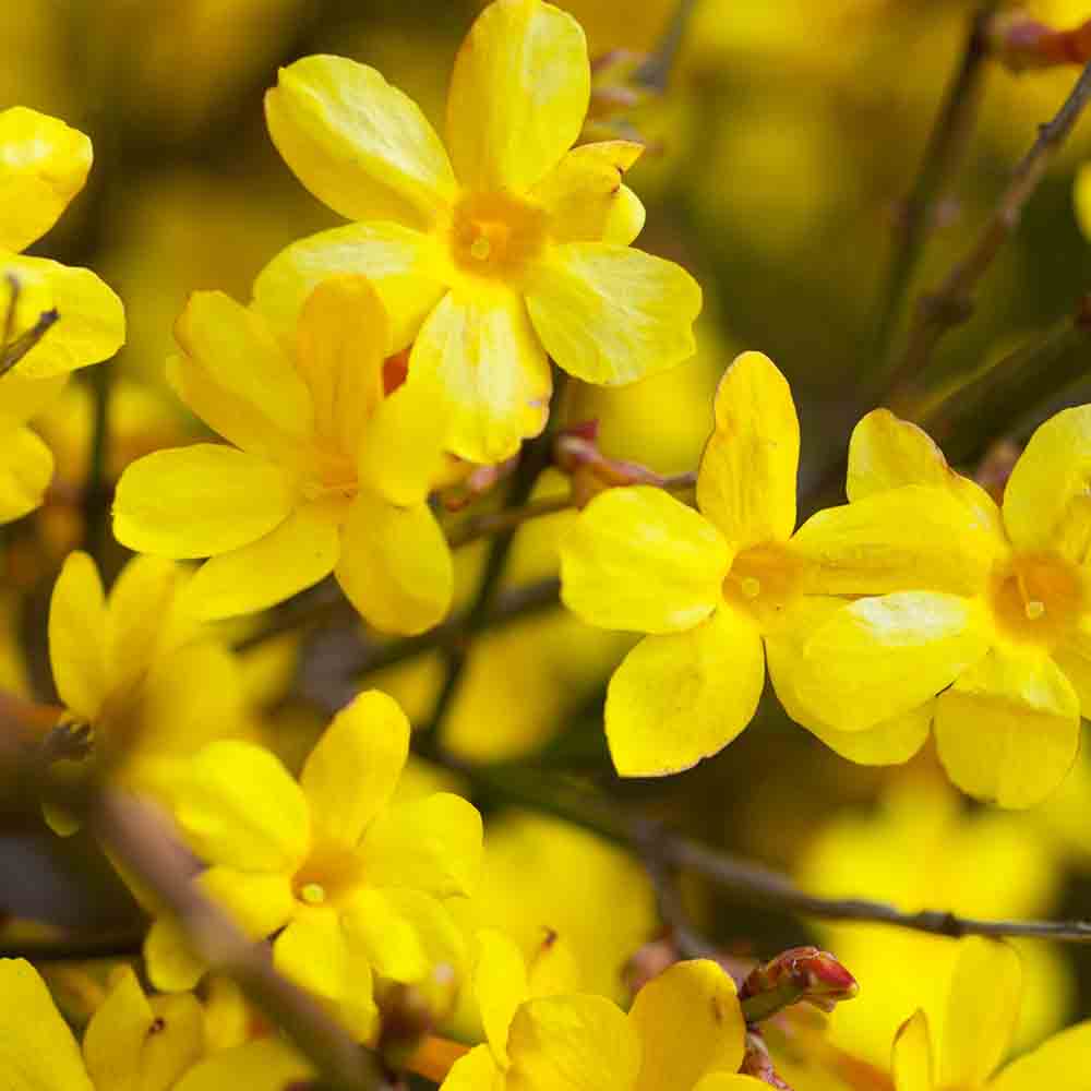 b965e0912b23405cacc12063732d85bd