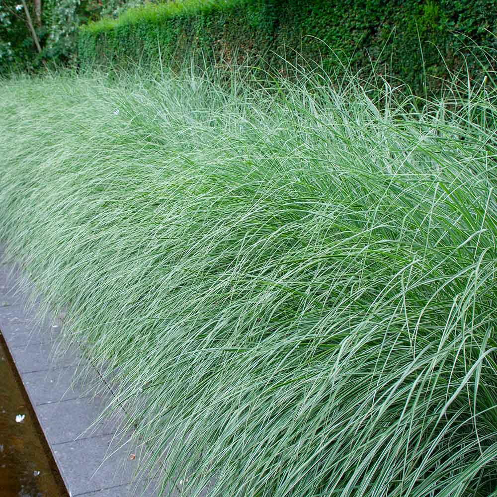 dd5b7bb07d03e294a5ae8622c9dd1225