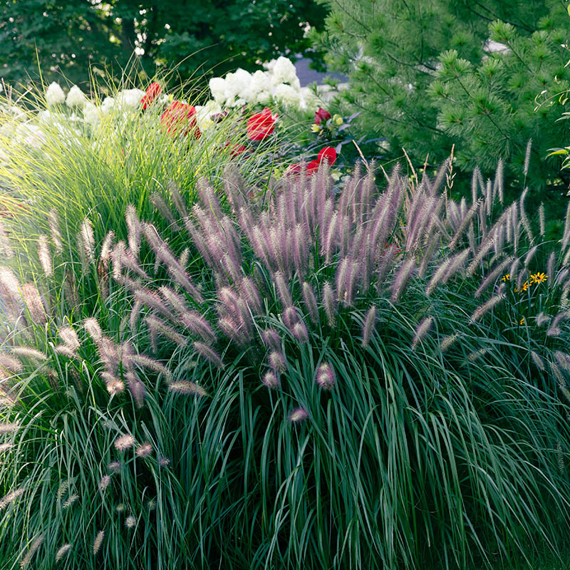 59313321c10718a1b6ebb35c9ecdd7d9