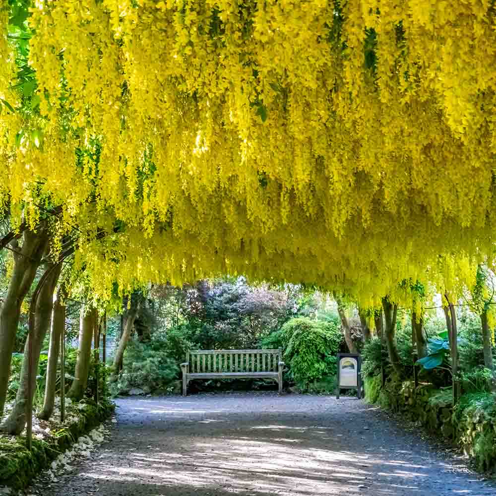 ffd8a3a7094c554bd72ed63553893a1f