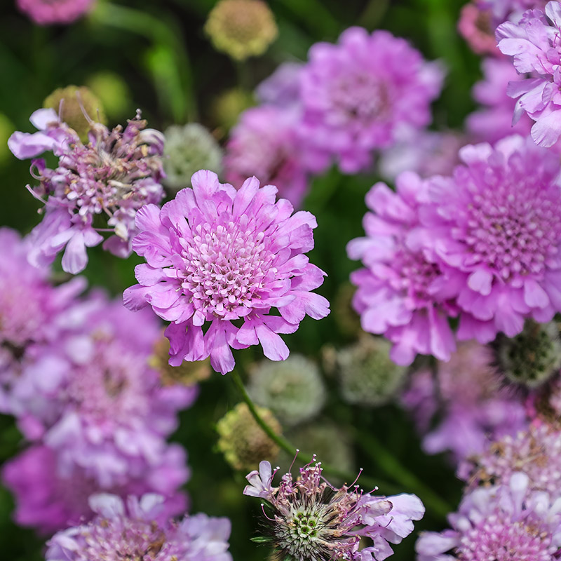 54ad47f5071999ca3883991f71b84078