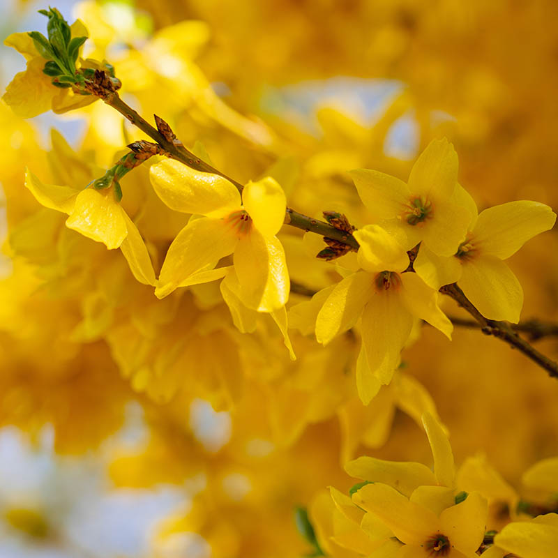 5b36e0f8867b63662e8a3ff7d7dec84f