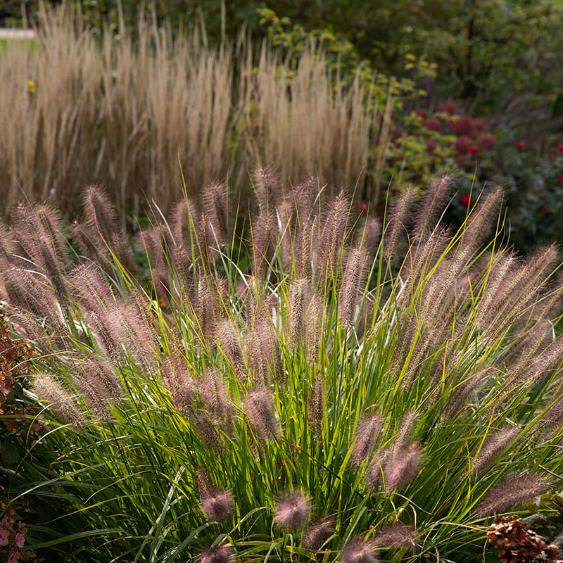 8ab97bdfccf1a3024983d9208f018c98