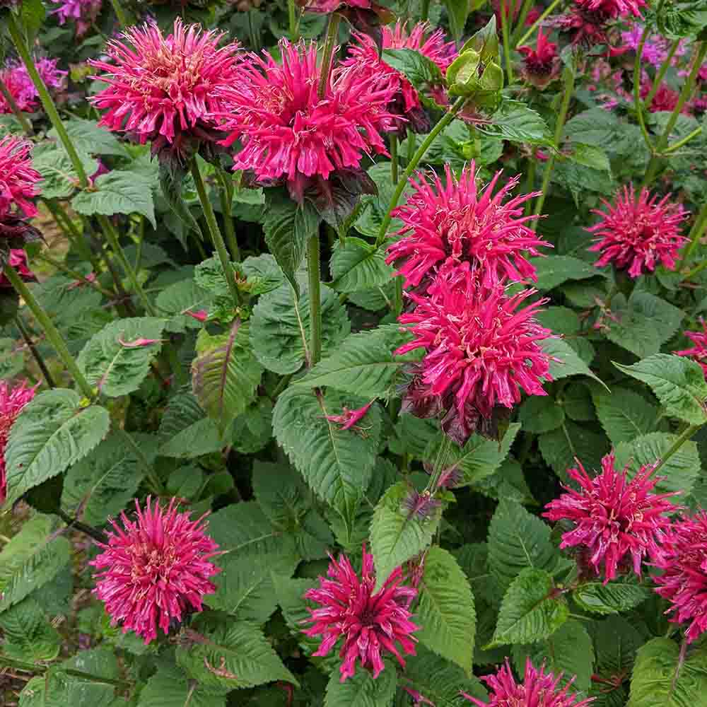 66341d20d06654b3104a002fe6a365d9