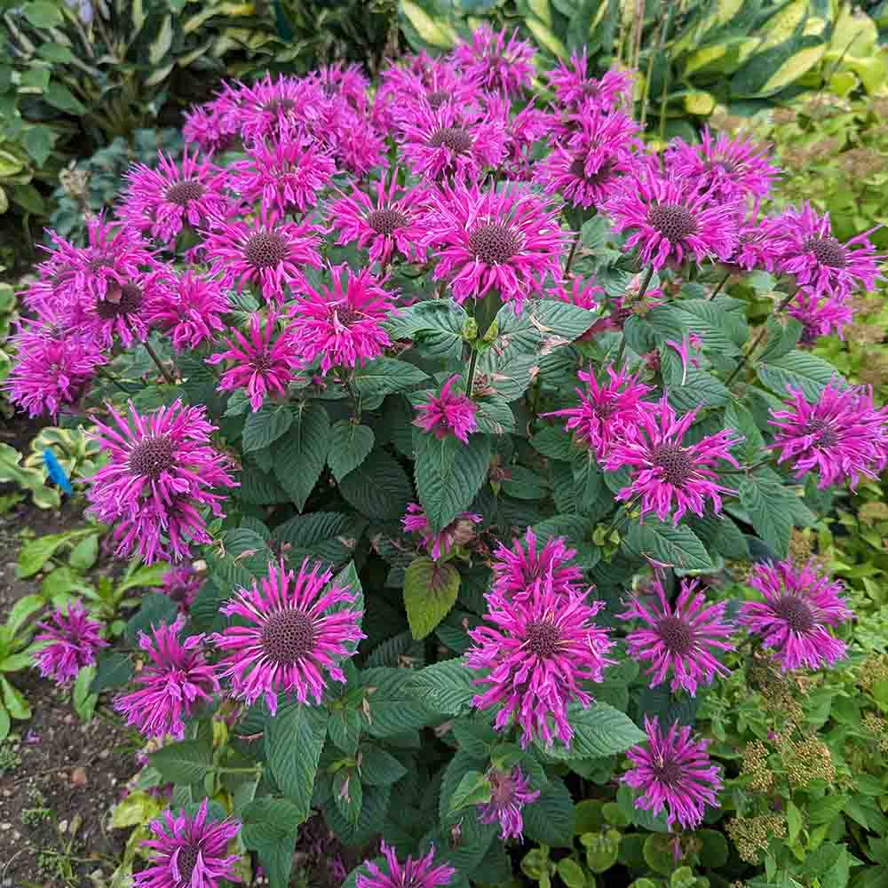 b2ccb8aab45ee18a4db2314677bd847e