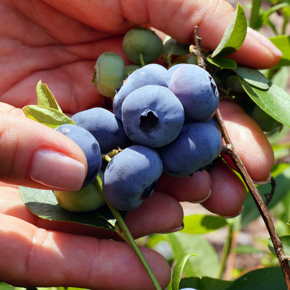 3932400404eb0b9feee3f6005ccb5fbe