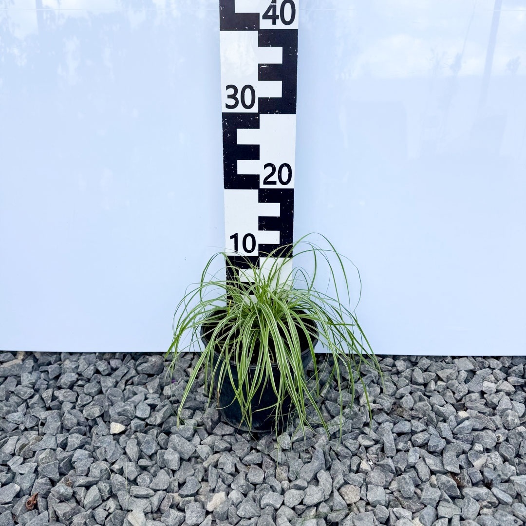 74864384d2662e0aedf585f3ef39066a