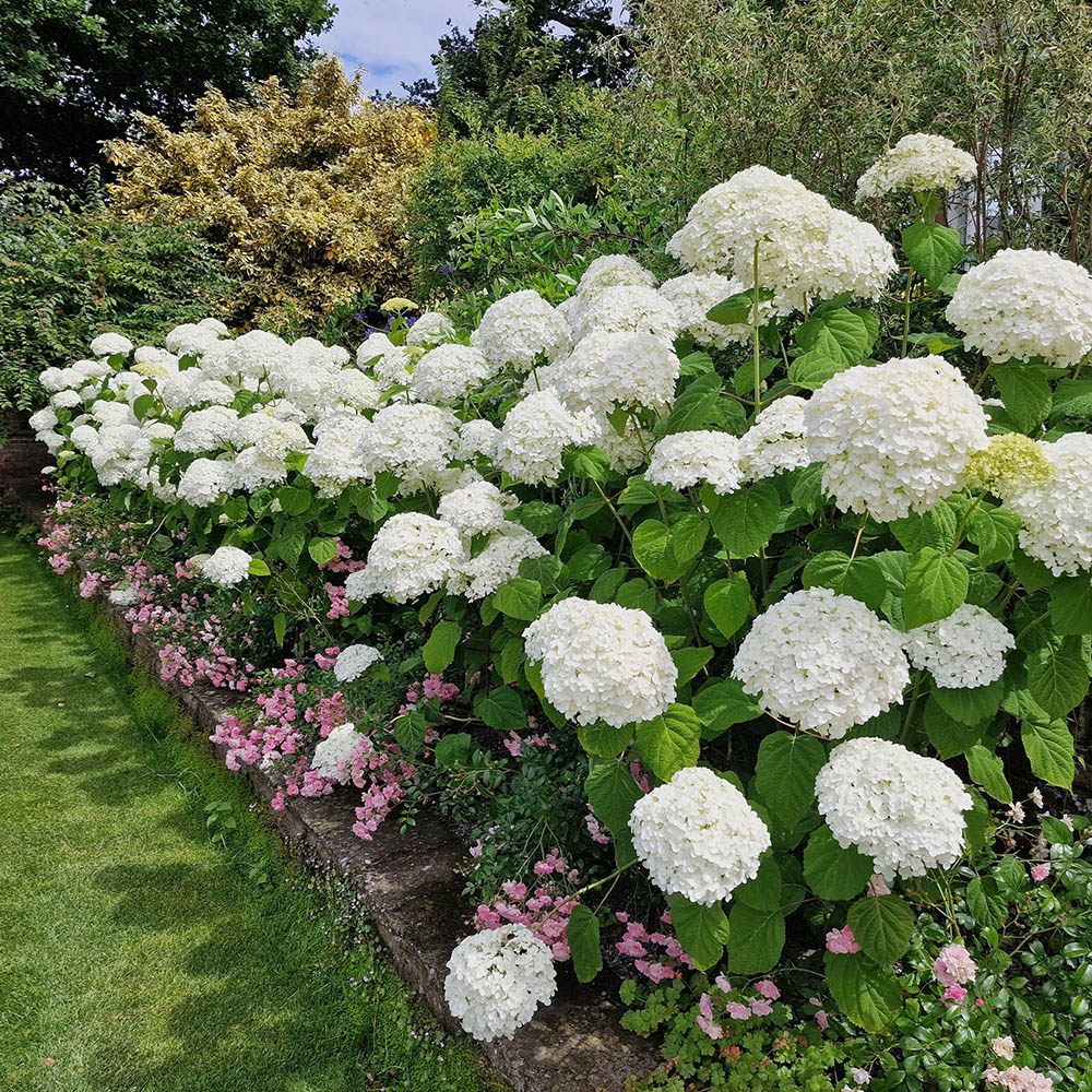 b28f2c237b2519bf93bec870e2e85de7