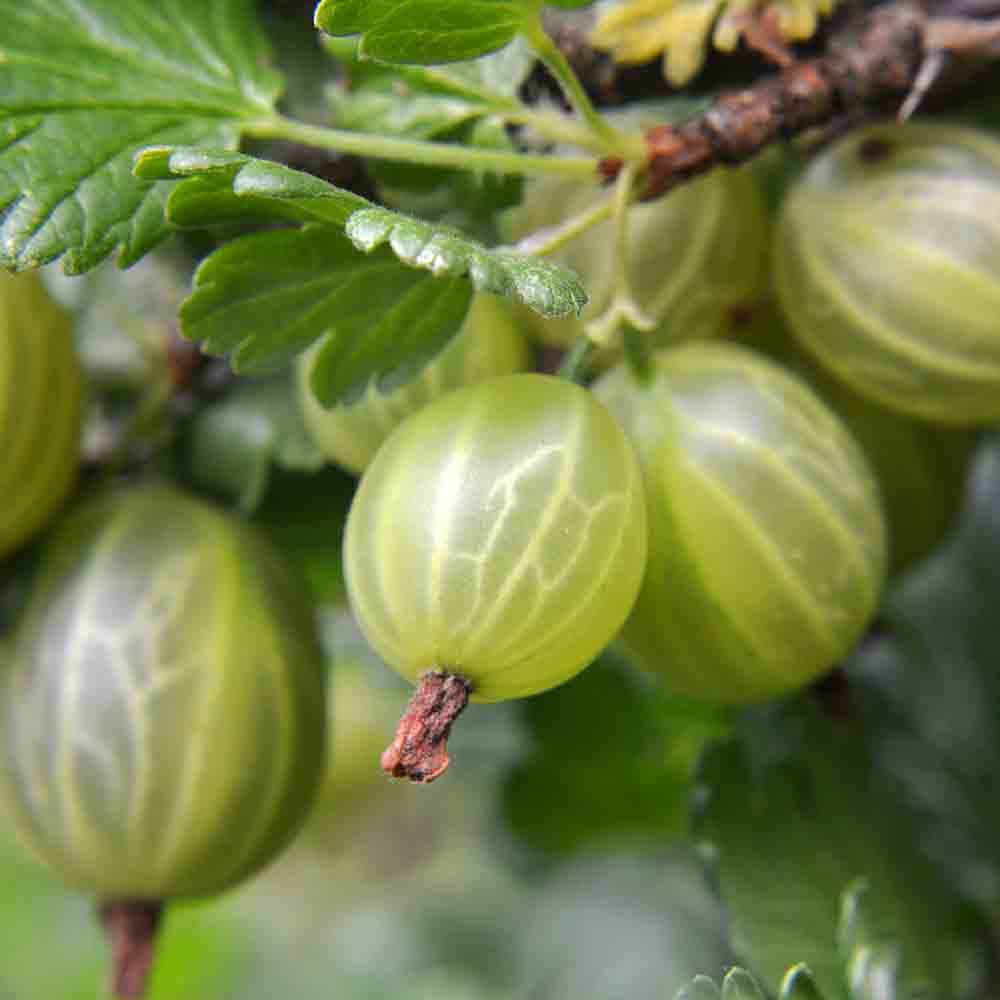 b9cc830c84cb12015d245d1cfd96946c