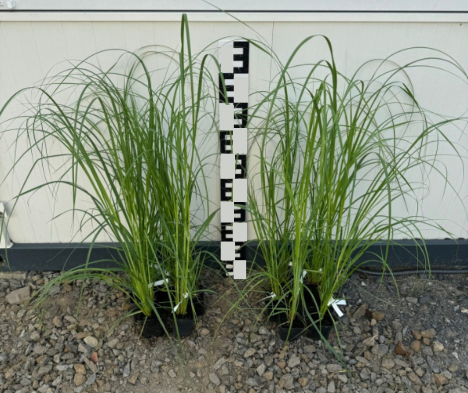 0421a4535cdd30ce69b4b0ec68d2a61b