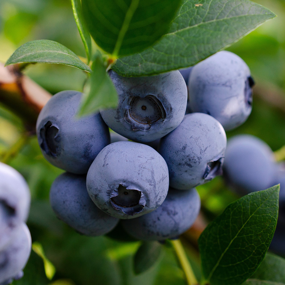 1761b3146e959c055a2789ad5a0a2e09