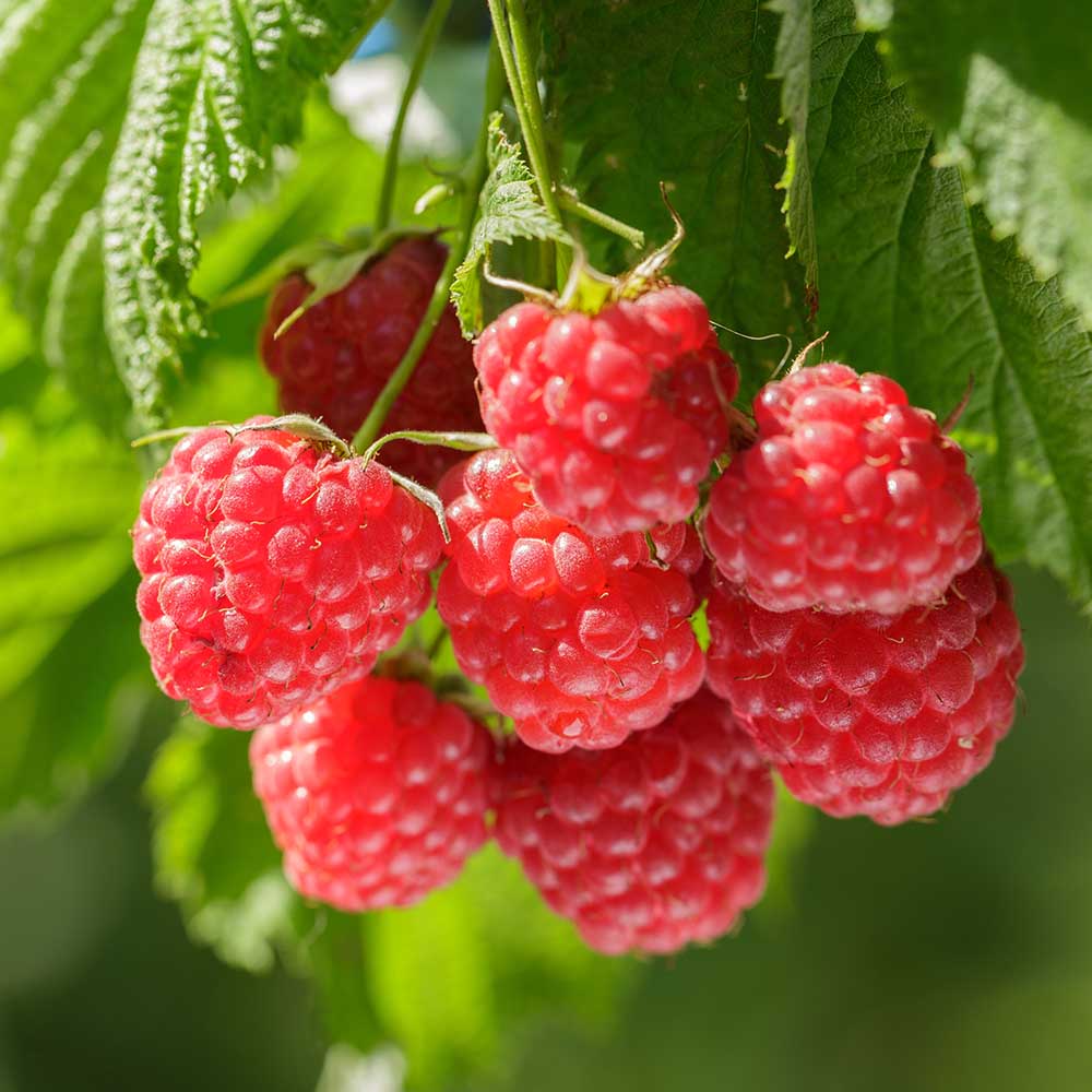 6dbe4922f400fefa2c07757bac7f384d