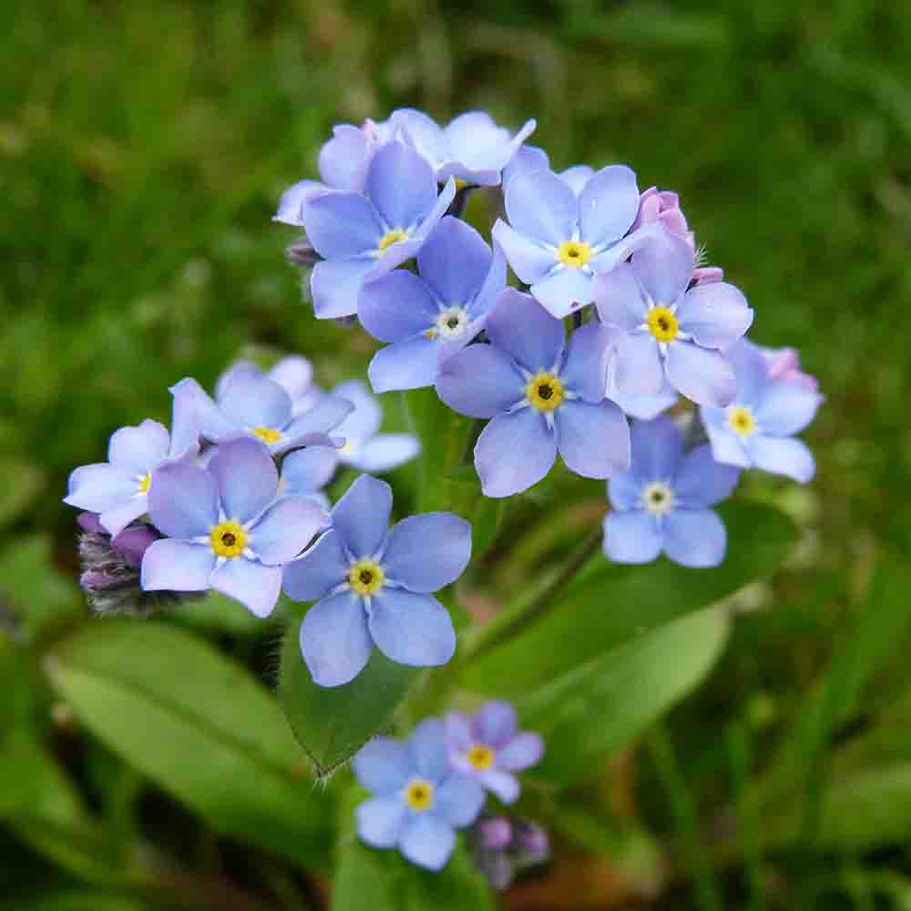 c3c58005ae0568346f7ff7d8da0d28db