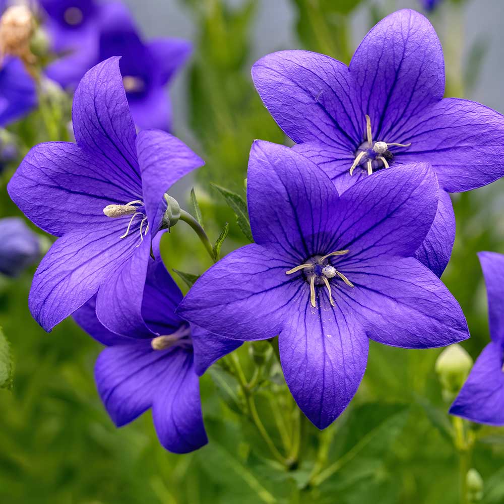 59d900676c6bd6855dd9802e6f75555d