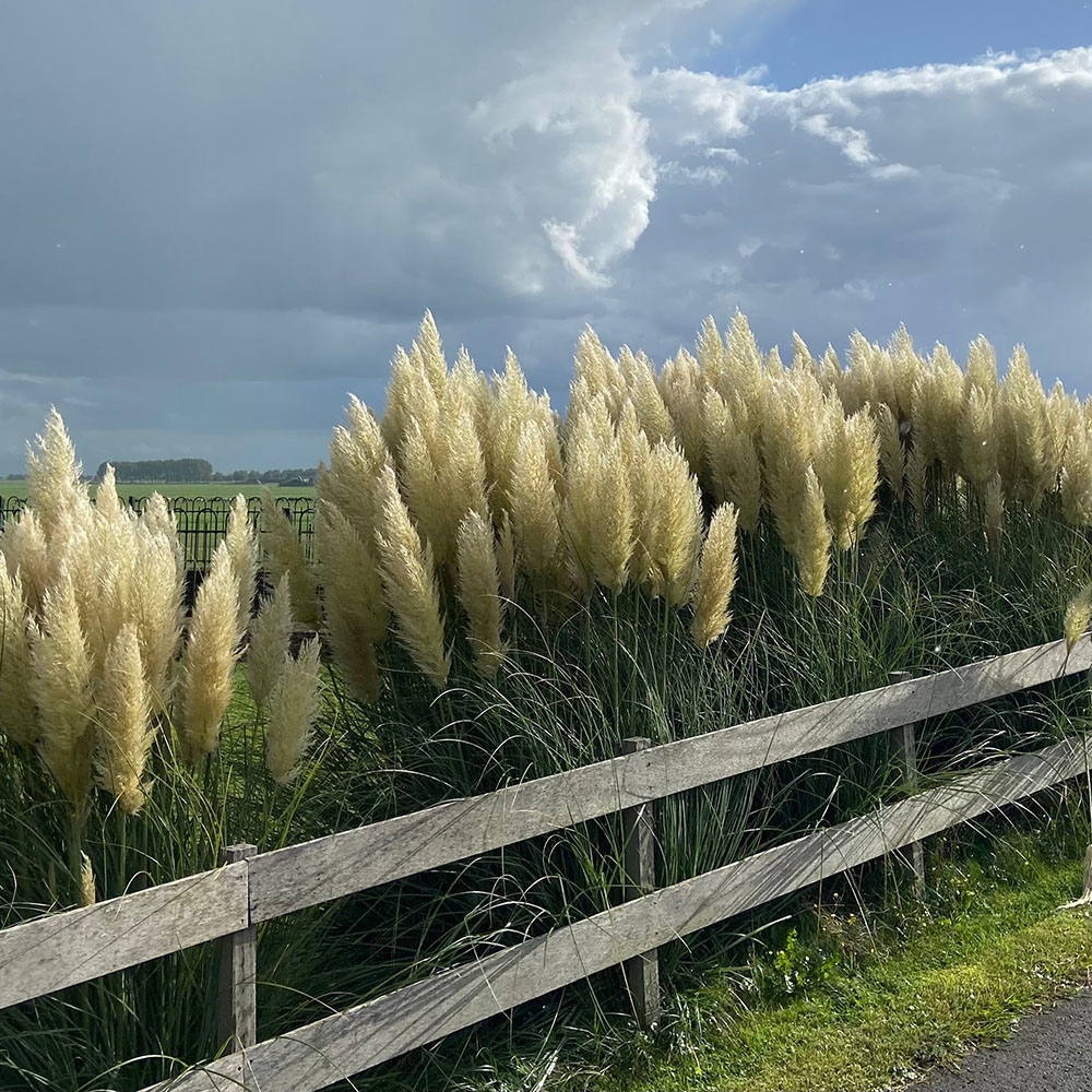 ac13aa48c1dd883c0a331b4ec247fd1f