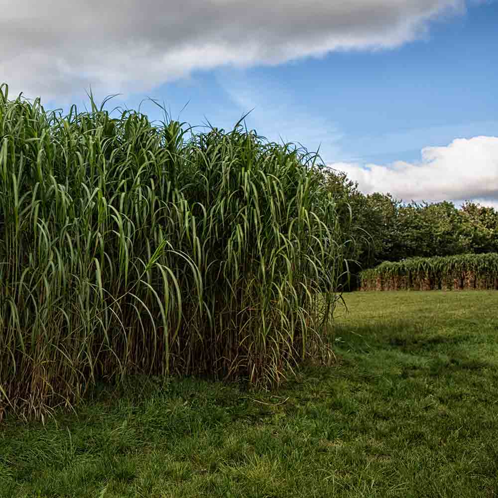 f9f8724425addcc7f7a4960e42fcc3d4