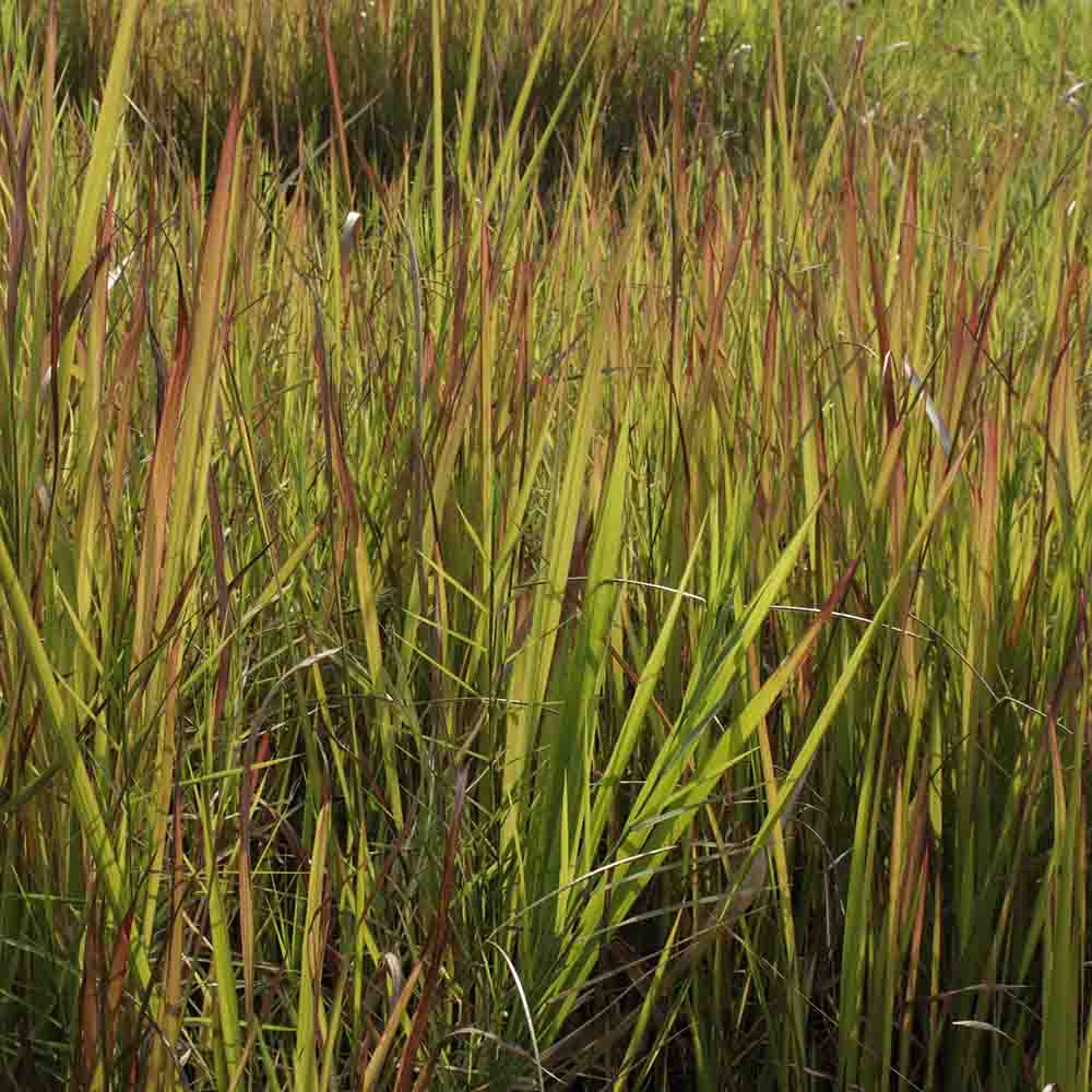 d026f64f9270d5a9cd675b052cfaec26