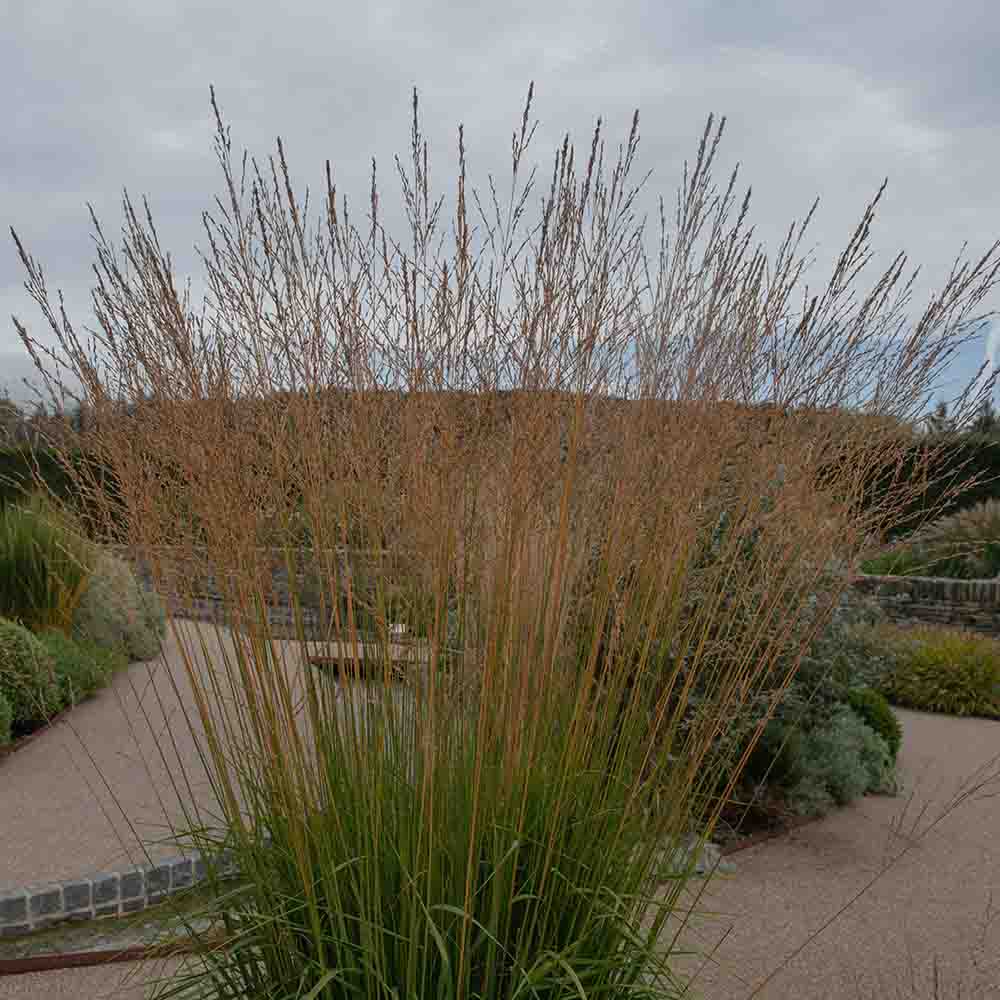 0609b1ff99ec6d465fbdba3116498767