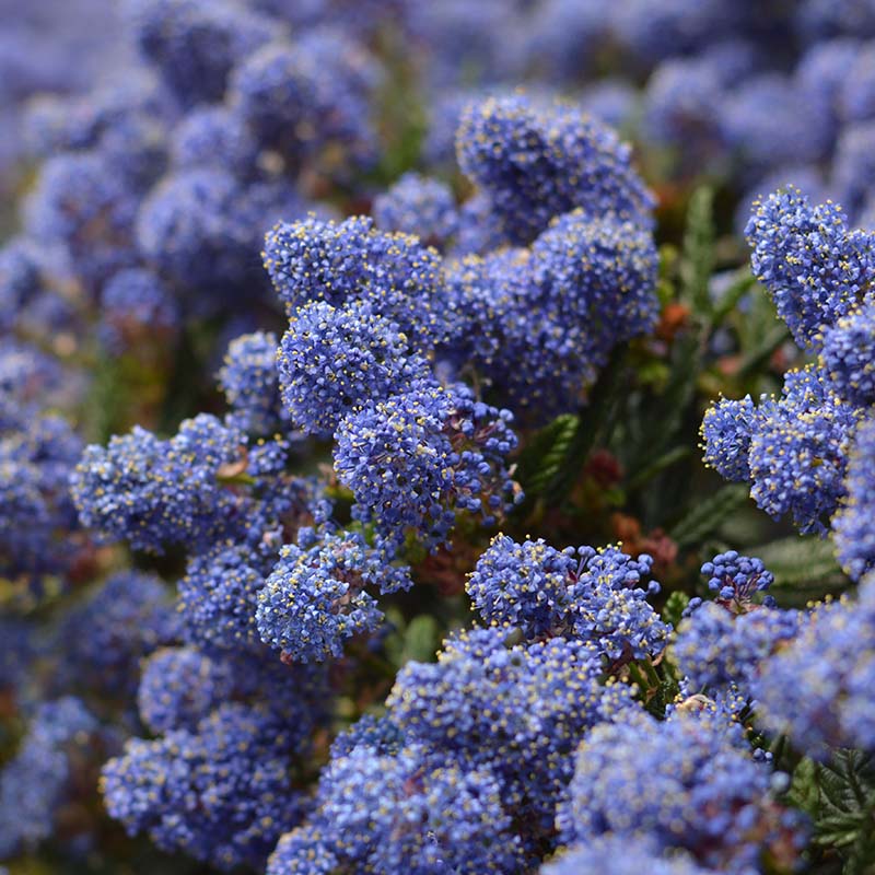 0fbe34d4508120392c77cf6a853b5dd9