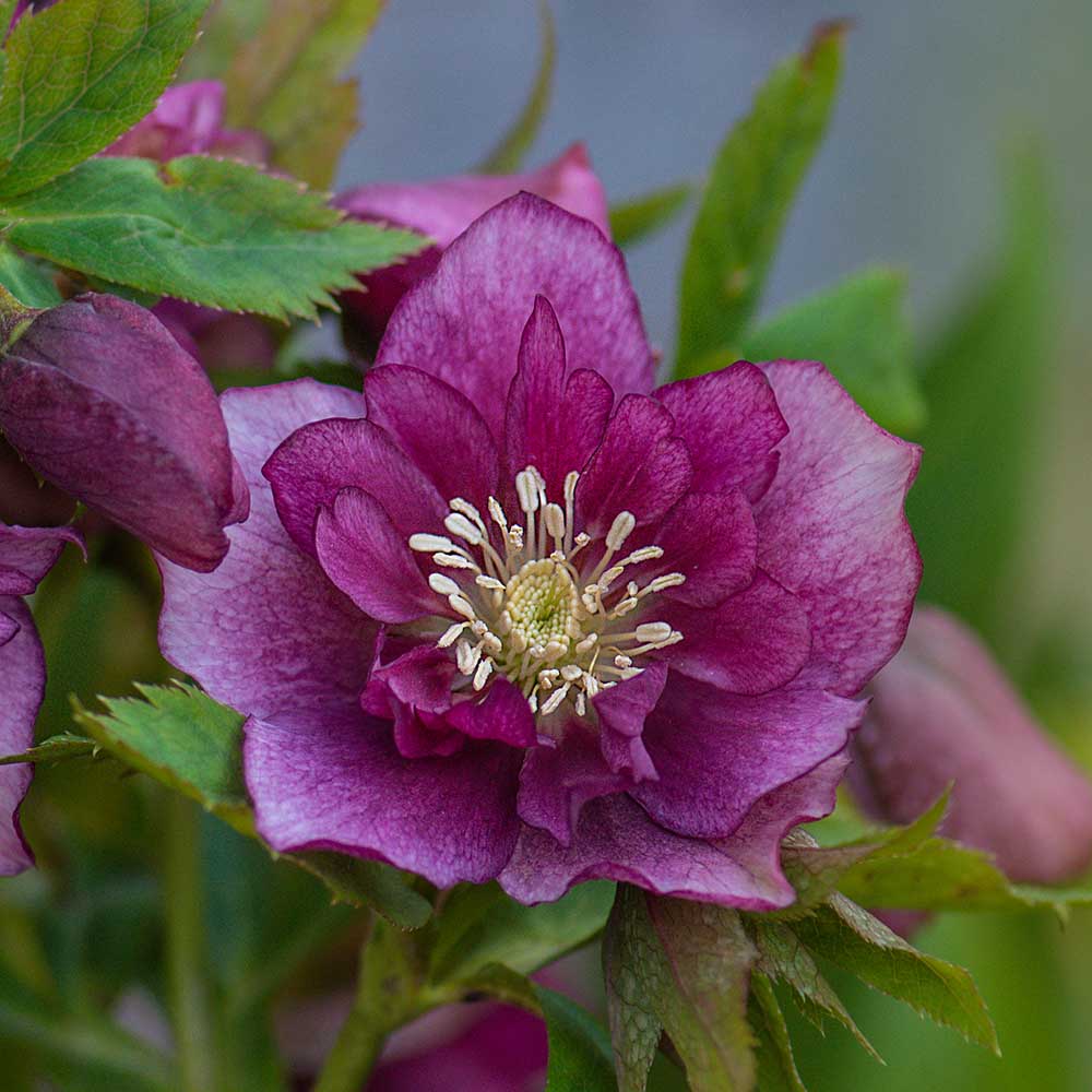 fd95286591d2ac6d608689142360e15d