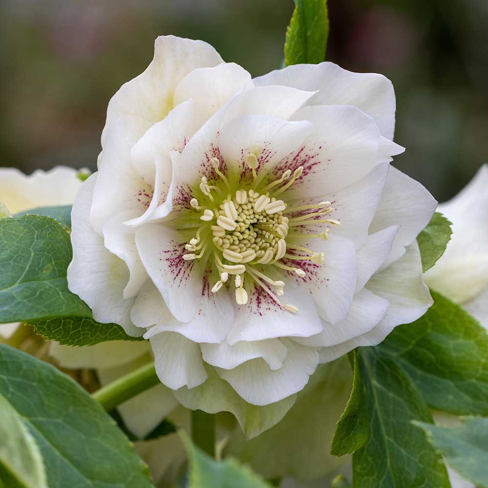 a691b7307d75222581b8222c1c945e29