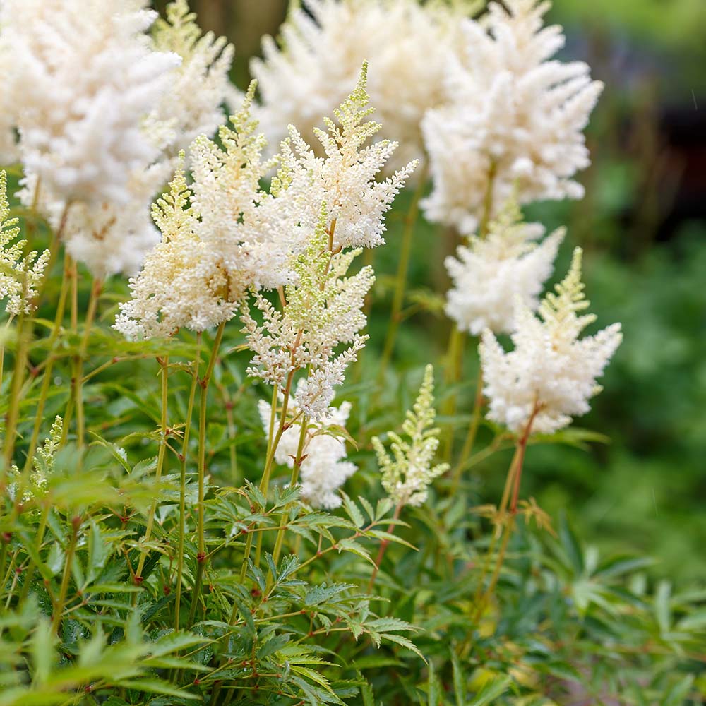 149d6e198df3884966ff3cc326d9ed78