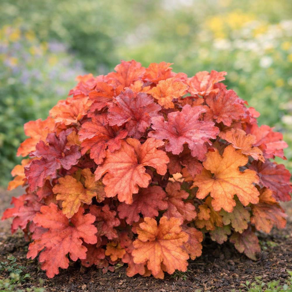 bedca20d5f658a6dea4cf55844a3af4e