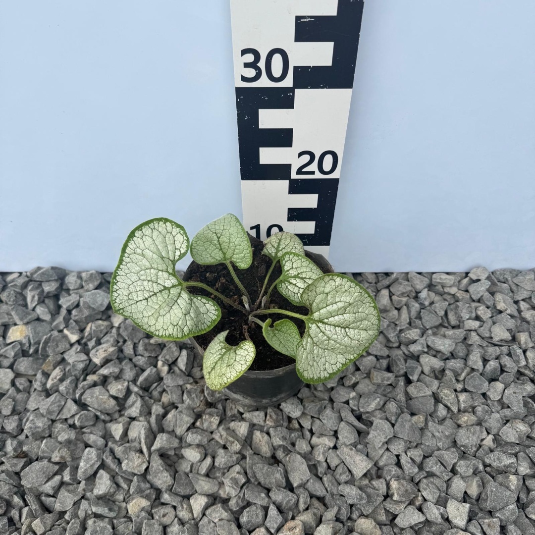 43780b84e2937f2318c7e742e0371876