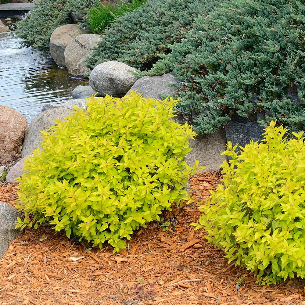 cb0a9b73ed7cfb25b87e1b24ebf8e50a