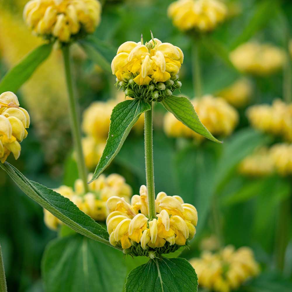 0c265be6698d914ae8dc7bca3007618c