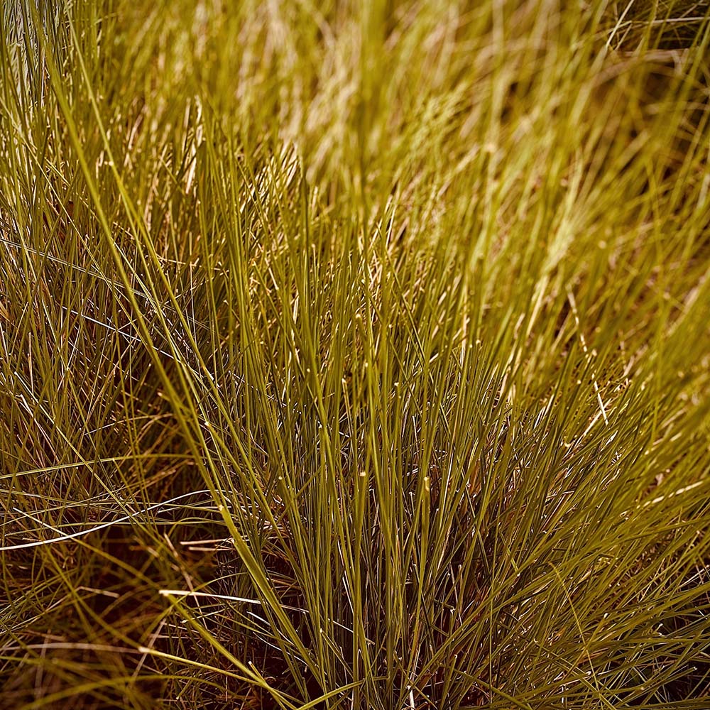 892a60b725fdc21b4ea0f0c05f355f7e