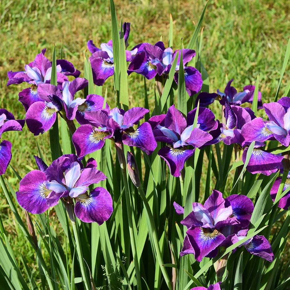 66861ce77b60ce7035c7fd00ce3dc6c8