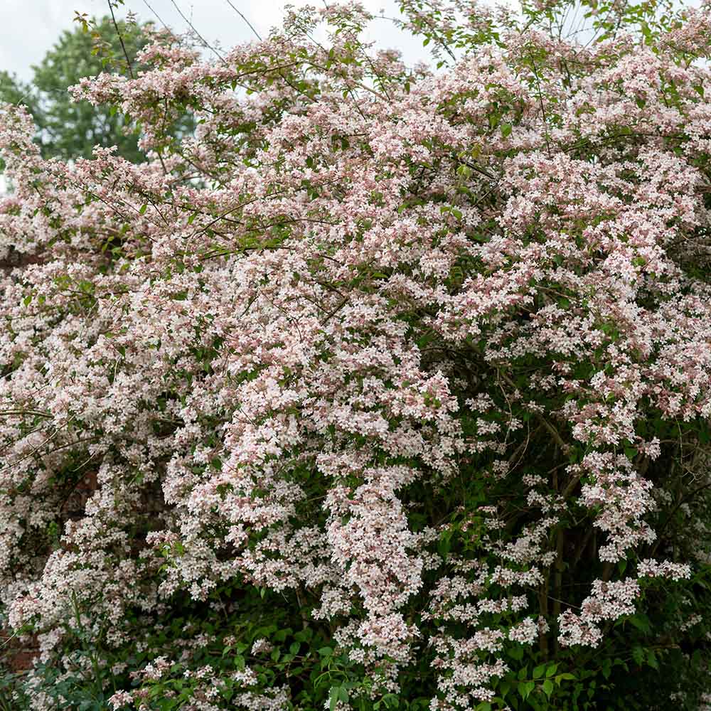 f5547e3a8d0a7e8aae591beaa376c711