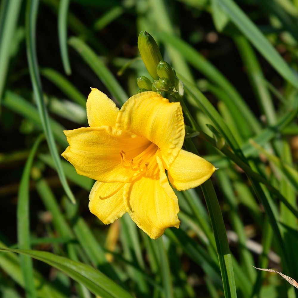 474bc7759c76db4e8b85927e1f81e90c