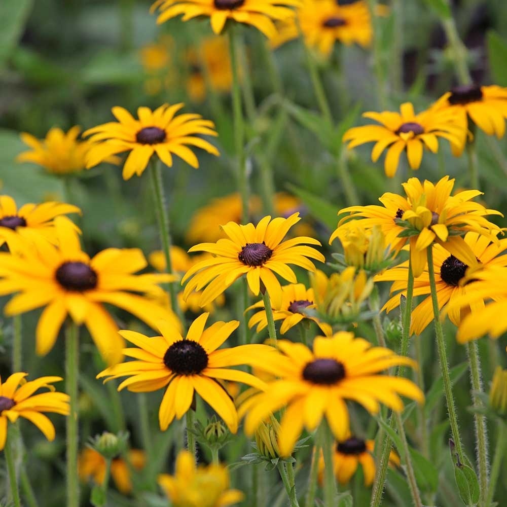 2ce4b134b810488cf8cadbc37d49e983