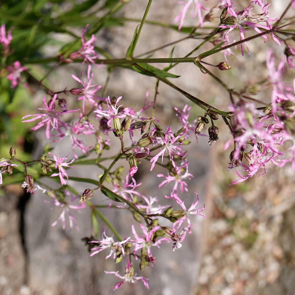 6f5778e8cd0f21f90cd777dc57416f36