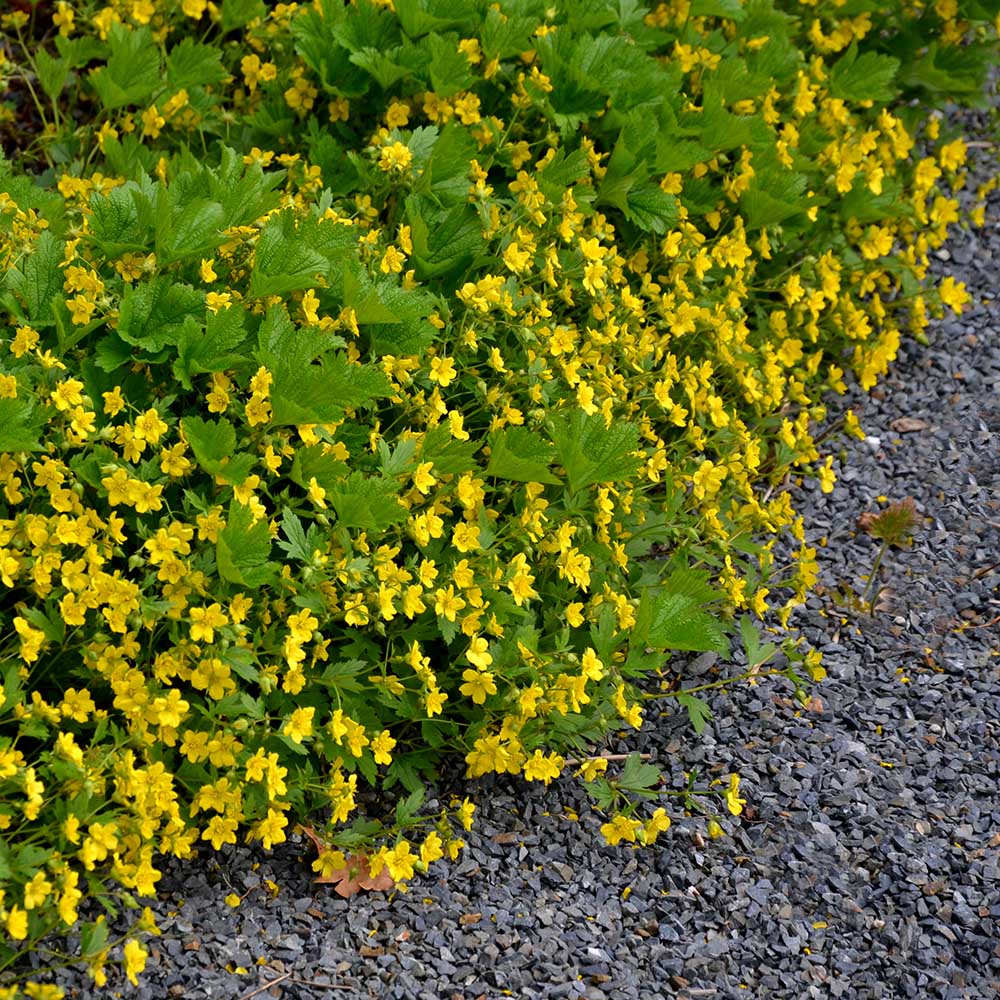 f3ef6fcbf0a5d4ae97011ce776234731