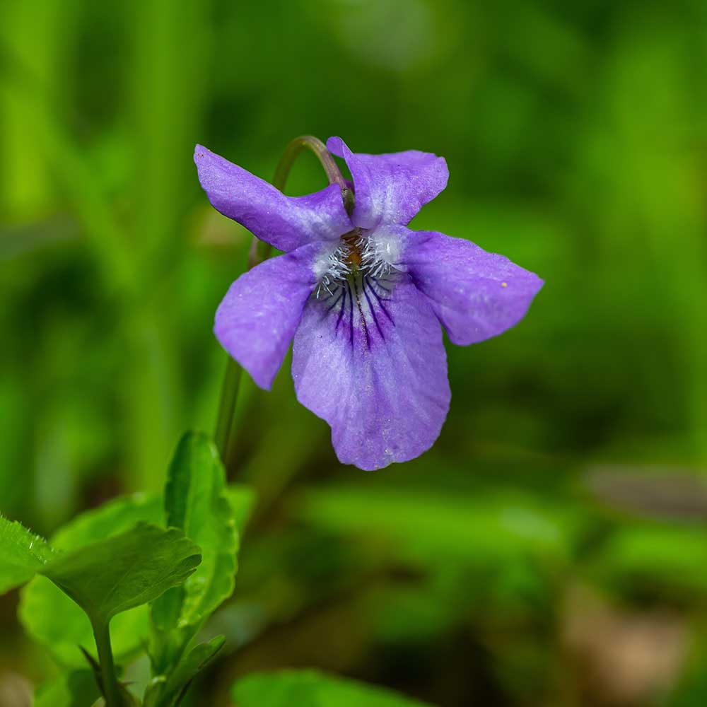 06e43008c14e9d9aa6b0fb4dd8a171aa