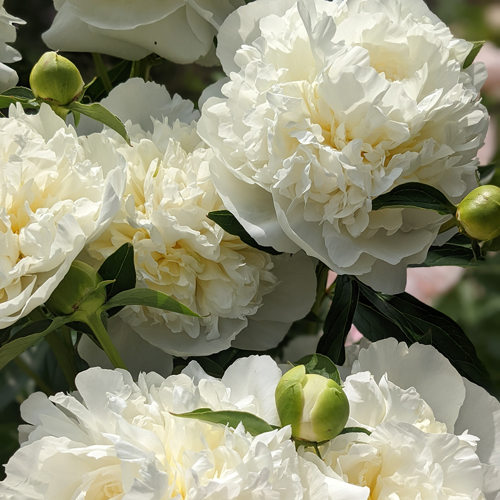 ea7bb4a1ab737794859b7c5a9598fa6b